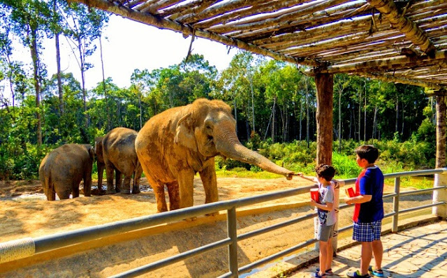 Biggest The best Top 5 Zoos in USA