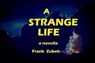 A Strange Life -  a paranormal horror story book promotion by Frank Zubek
