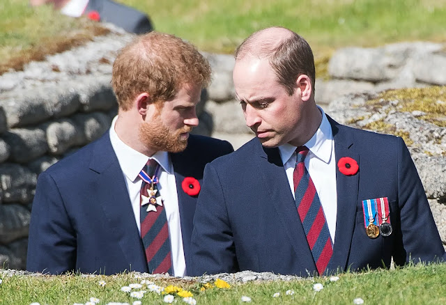 A Royal Brotherly Bond: Prince William's Response to Harry Receiving Royal Treasure