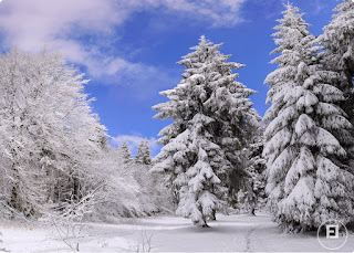   feldberg taunus schnee, feldberg taunus wettercam, feldberg taunus webcam aktuell, feldberg schnee aktuell, feldberg taunus ski, kleiner feldberg taunus, feldberg taunus schnee rodeln, feldberg taunus anfahrt, feldberg taunus restaurant