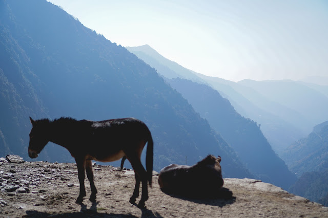 ABC Annapurna Base Camp Trek Nepal