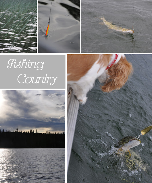 Fishin Country: Fishing Theme Party