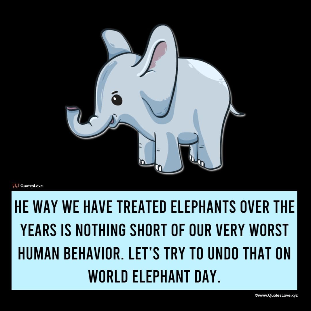 World Elephant Day Quotes, Sayings, Wishes, Greetings, Images, Pictures, Poster