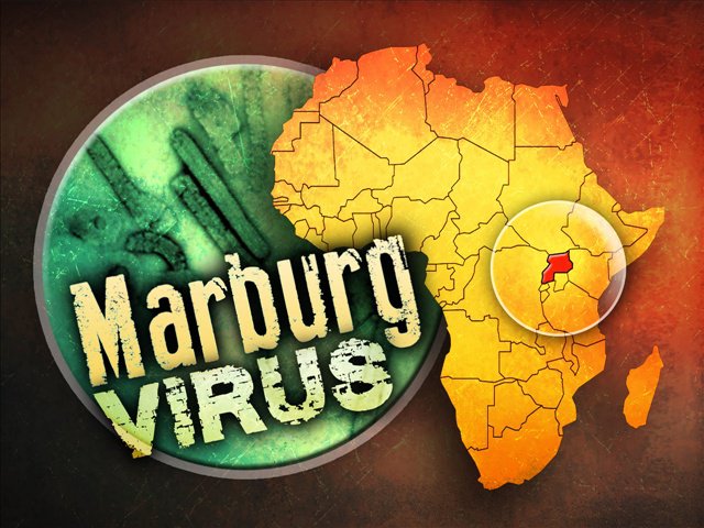 Febre Hemorrágica de Marburg : História , reservatório viral , etiologia ,sinais e sintomas ,epidemiologia e letalidade