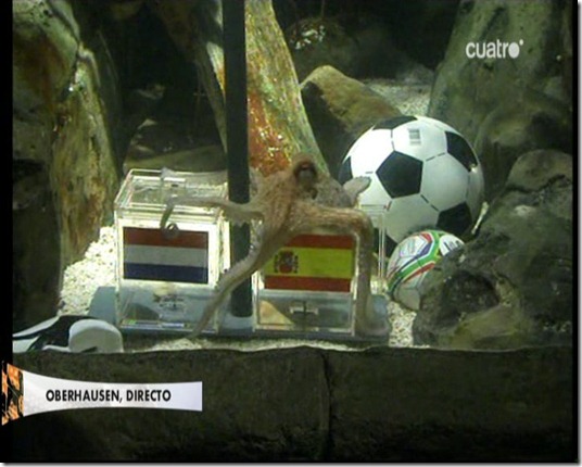 netharland vs spain