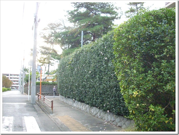 20111112_161001
