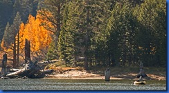 Highway 88 Fall Colors-143