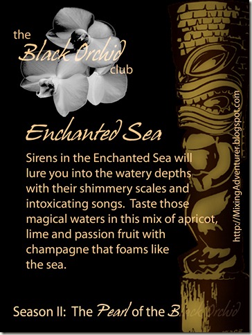 Week III Enchanted Sea Front