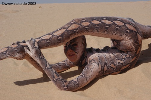 Snake (2)