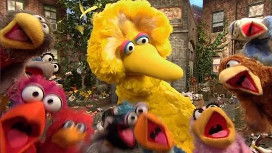 Sesame Street Episode 4514. Big Bird and other birds sing That's Cooperation.