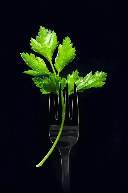 1 healthy breakfast recipe with parsley