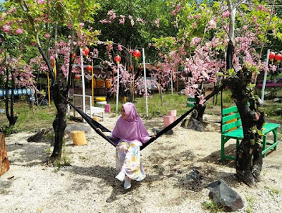 [http://FindWisata.blogspot.com] Taman Sakura Ternate, Destinasi Wisata Relaksasi dan Rekreasi Keluarga 