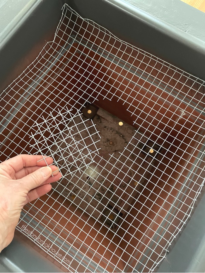 Cut center hole out of wire mesh for plant