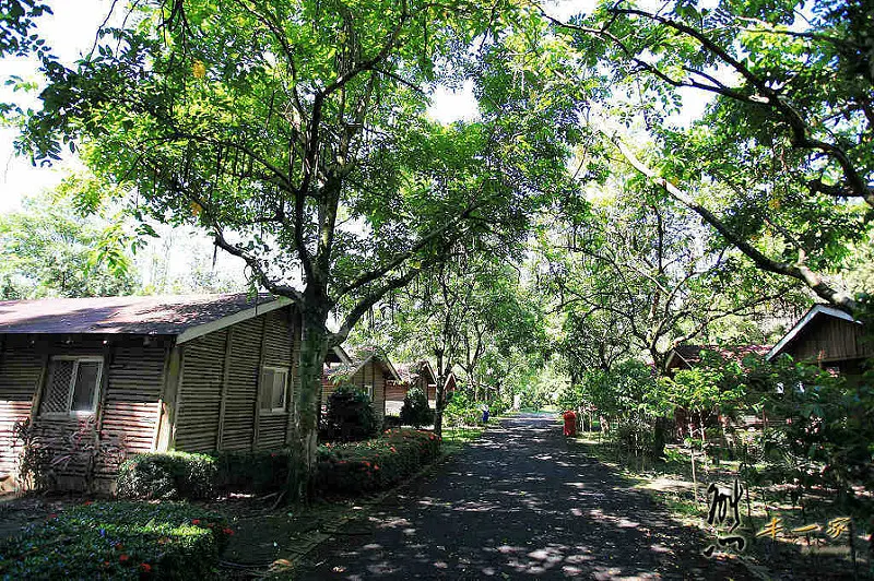 賽德克木屋|川中島木屋|露營區|隱藏版彩虹大地