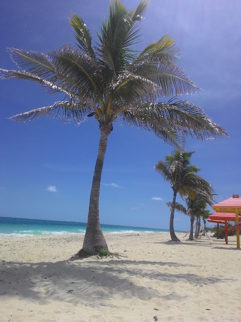 Plaża na Grand Bahama