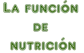 http://www.ceiploreto.es/sugerencias/cplosangeles.juntaextremadura.net/web/curso_4/naturales_4/funcion_nutricion_4/funcion_nutricion_4.html