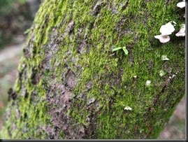 018_E-M1_@17.0mm_F3.1_1／20sec_ISO100