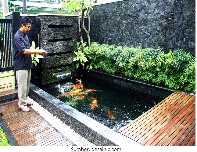 Contoh 49 Gambar Kolam Ikan Hias Minimalis Terbaik 