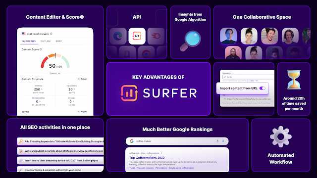 Why Choose Surfer SEO - THELOSTOFFER