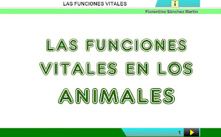 Funciones vitales de los animales