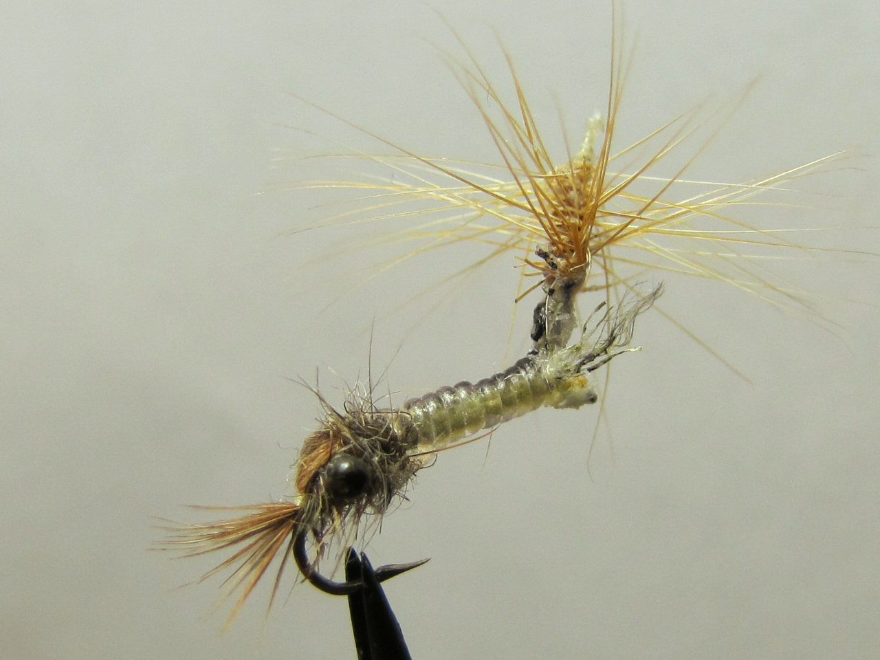A Creative Fly Tying Blog.: The Parachute Mosquito Larvae & Nymph (PML).