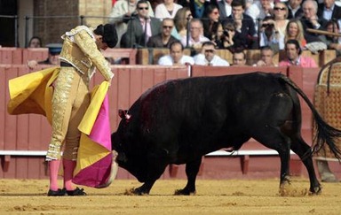 Talavante 11