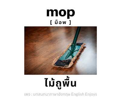 mop - ไม้ถูกพื้น