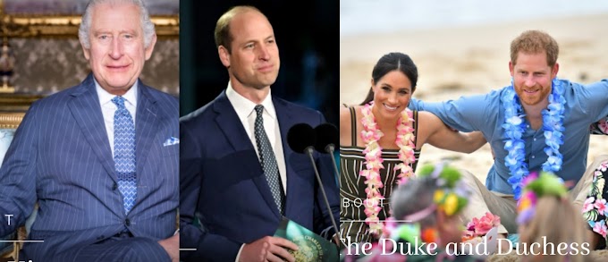 Duke and Duchess of Sussex's Individual Bios Removed from Royal Family's Website