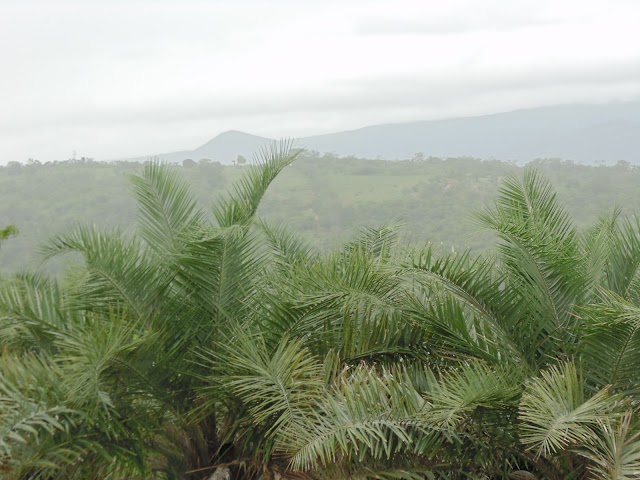 CONHECENDO AS BELEZAS NATURAIS DA SERRA DOS MARES DE BOM CONSELHO/PE