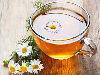 Chrysanthemum tea