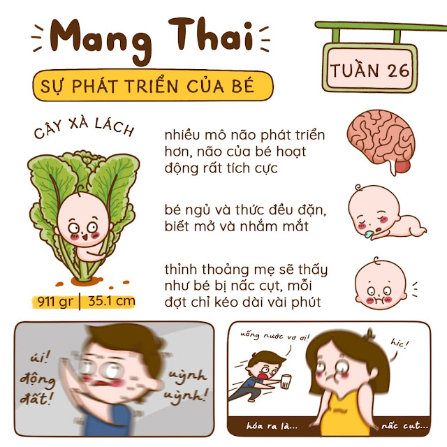 Kiến thức mang thai tuần 26