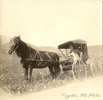 Horse and carriage PR