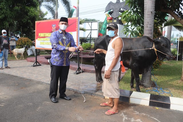 Didampingi Ketua Persit KCK, Dandim 0410 KBL Menyerahkan 1 Ekor Sapi untuk Qurban