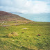 Irlandia i County Kerry z analoga Mamiya 7