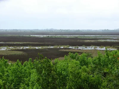 RESERVA NATURAL OTAMENDI