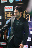 NTR and others Celebs at  at IIFA Utsavam Awards 2017  Day 2   Part 3 ~  10.JPG