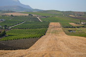 Panorama Siciliano