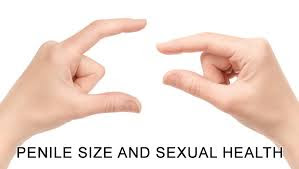 Whats The Normal Penis Size for Intercourse
