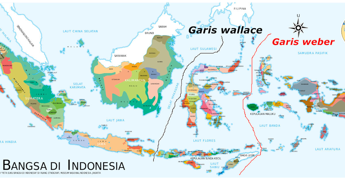 Pembagian Persebaran Fauna Di Indonesia - Materi Belajar