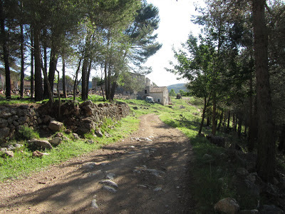 VALLFLOR (COLL D'ARCA) I MONTMELL, Camí a Vallflor