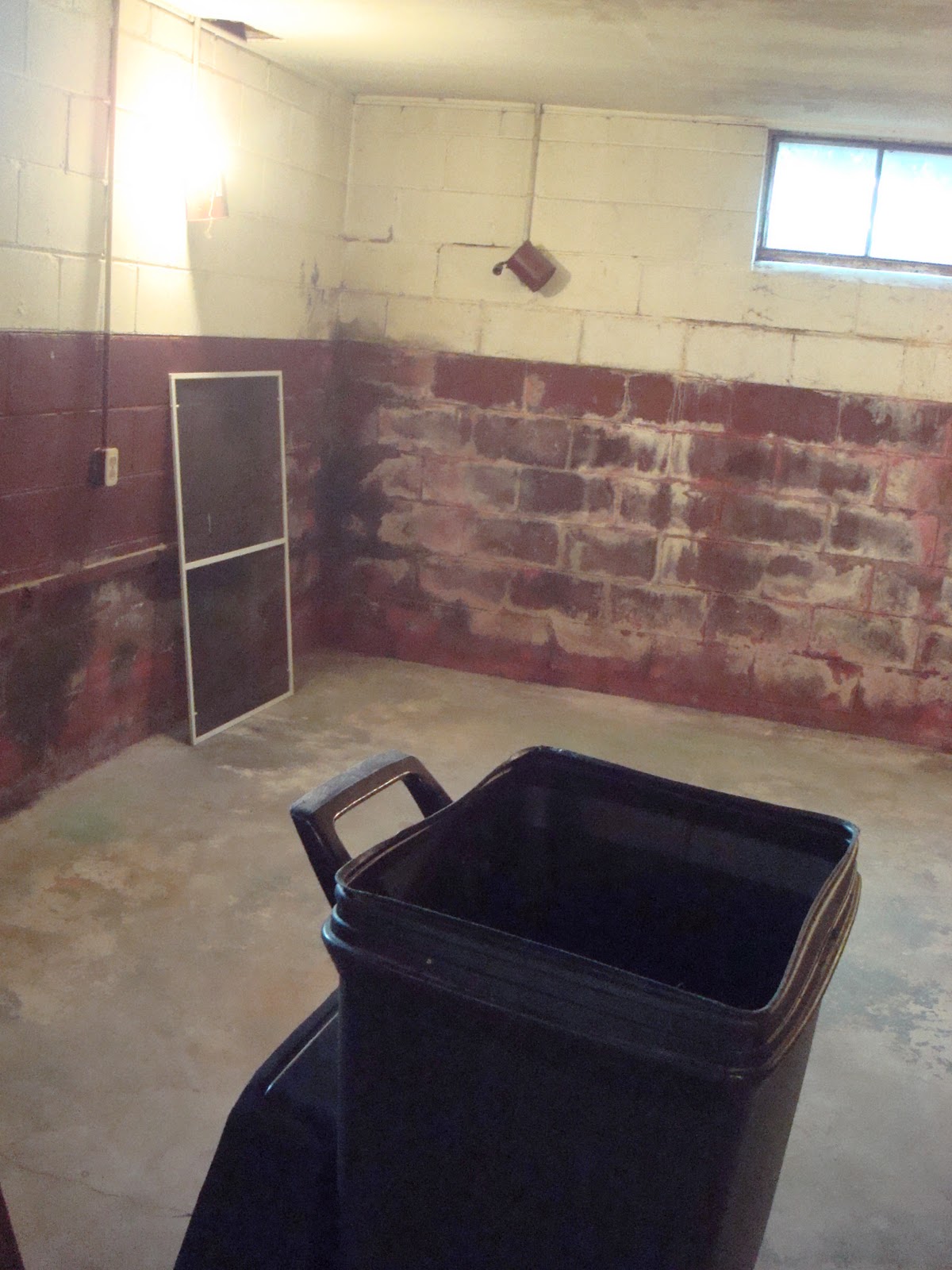 Clean Mold Off Basement Cinder Block Walls Home Desain 2018