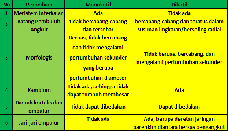 2. jaringan penyusun akar dan batang sama.