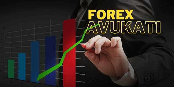 Forex avukatı