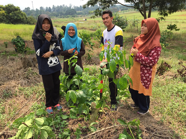 kolej 13 upm