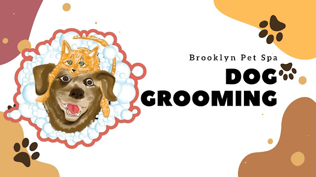 pet groomers in Brooklyn NY, professional pet groomers in Brooklyn