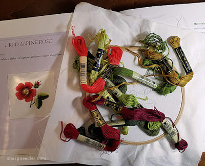 Beginning a Trish Burr needlepainting project: Red Alpine Rose