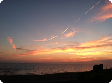 photo (2)