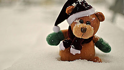 winter-teddy-bear-in-snow-pictures-imgs