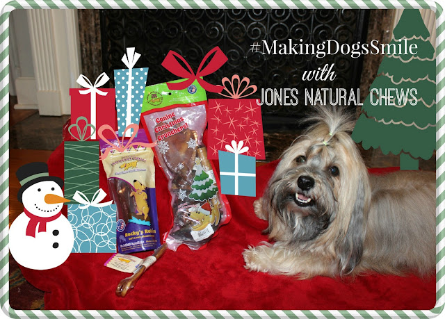 Jones Natural Chews  #MakingDogsSmile Rocco Havanese