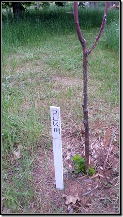 2013-06-16 18.43.13